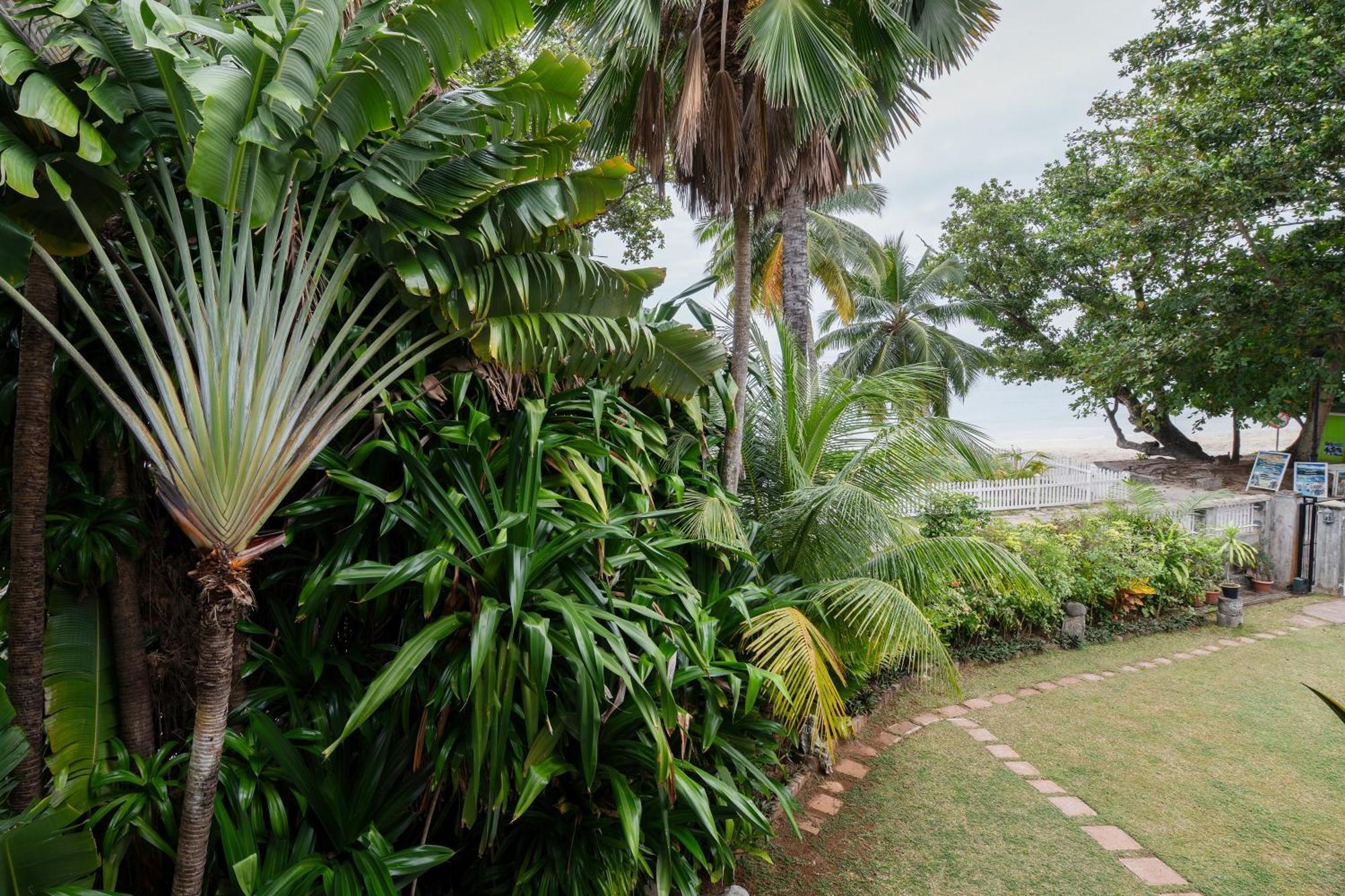 Sables D'Or Luxury Apartments Beau Vallon  Buitenkant foto